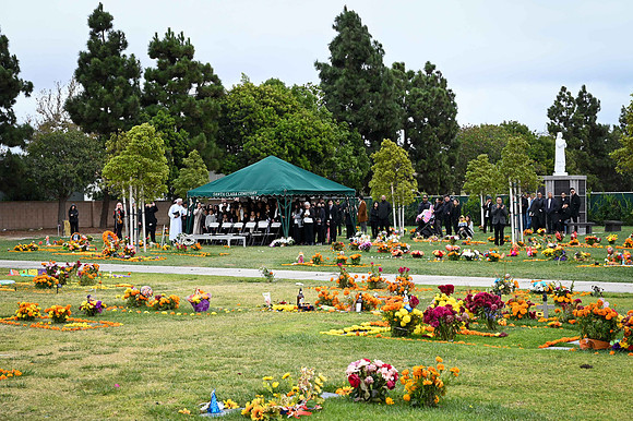WL1_0126