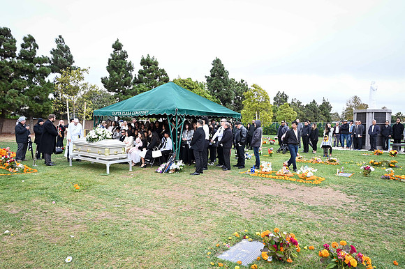 WL1_0139