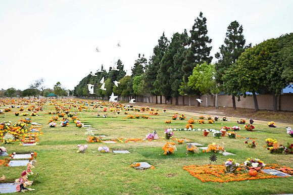 WL1_0192