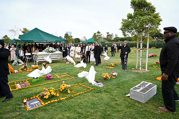WL1_0190