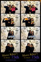 BLAS6828