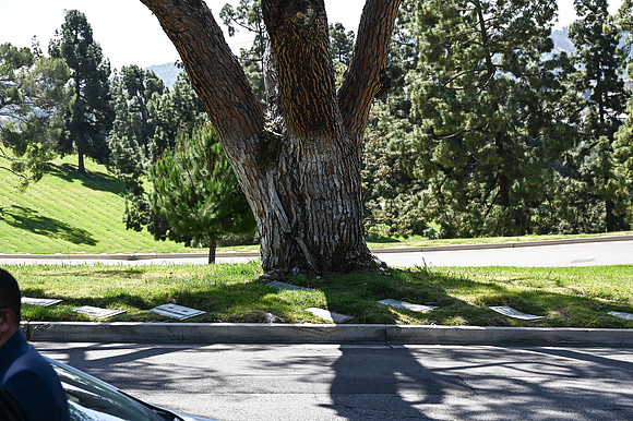 DSC_0124