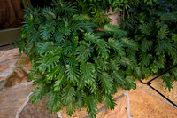 SB1_0021