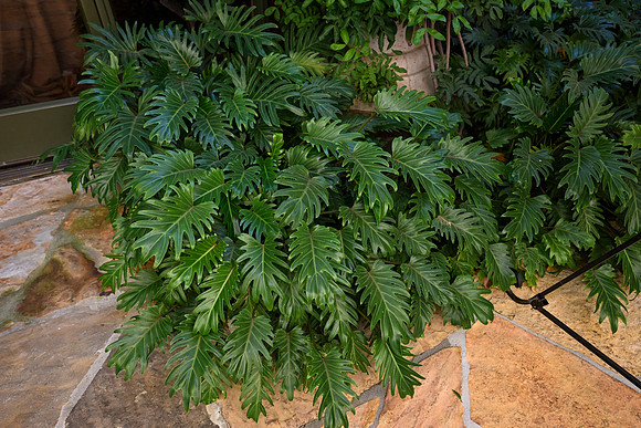 SB1_0021