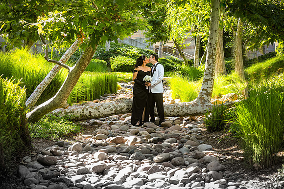 Eric+Laura  (341 of 2023)