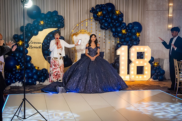 Zareena_18-809