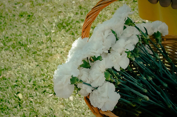 DSC06795