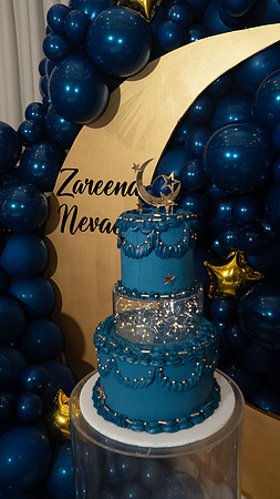Zareena_18-686