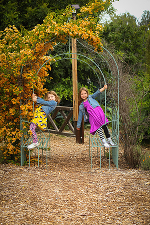 family portrait arlington garden-334