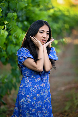 PS1_0071