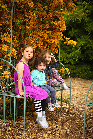 family portrait arlington garden-369