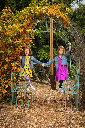 family portrait arlington garden-339