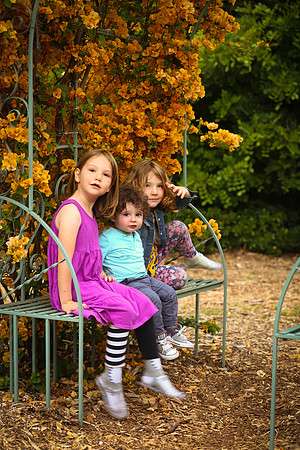 family portrait arlington garden-368