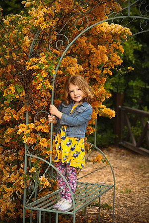 family portrait arlington garden-308