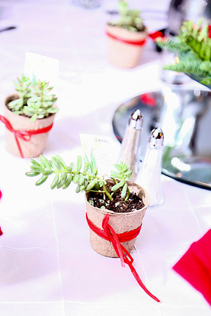 Vanura Xmas Party (109 of 493)