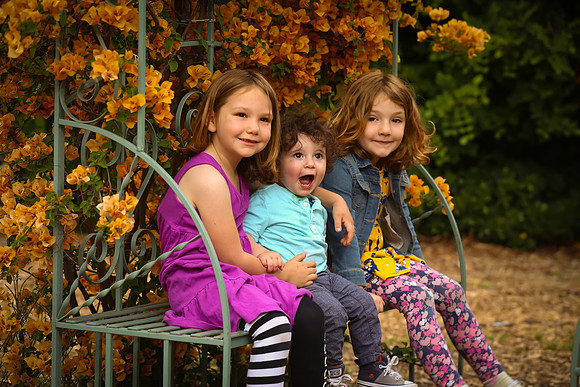 family portrait arlington garden-355