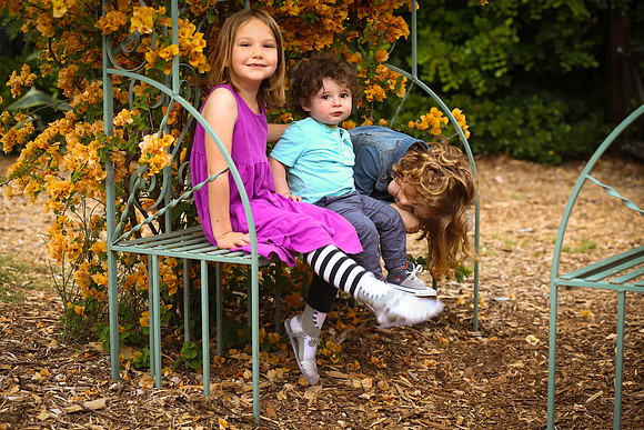 family portrait arlington garden-366