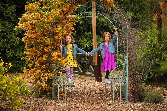 family portrait arlington garden-336
