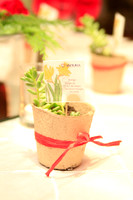 Vanura Xmas Party (4 of 493)