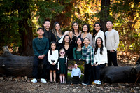 FAM_0017