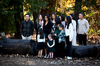FAM_0014
