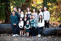 FAM_0013