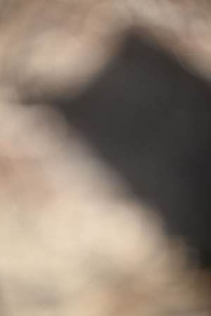 LA1_0010