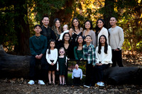 FAM_0019